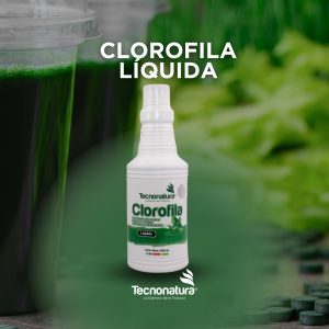 BEBIDA CLOROFILA LIQUIDA 500 ML TN