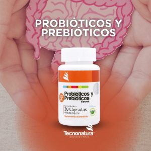 PROBIOTICOS Y PREBIOTICOS 30 CAPSULAS TN