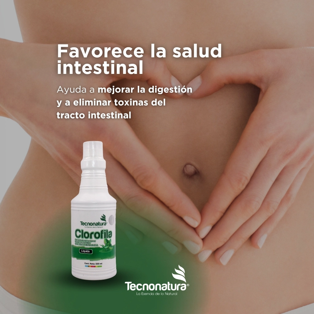 BEBIDA CLOROFILA