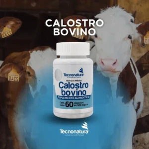 CALOSTRO BOVINO