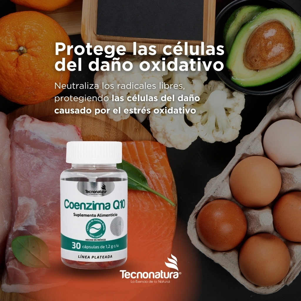 COENZIMA