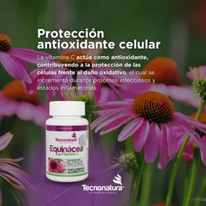 EQUINACEA CON VITAMINA