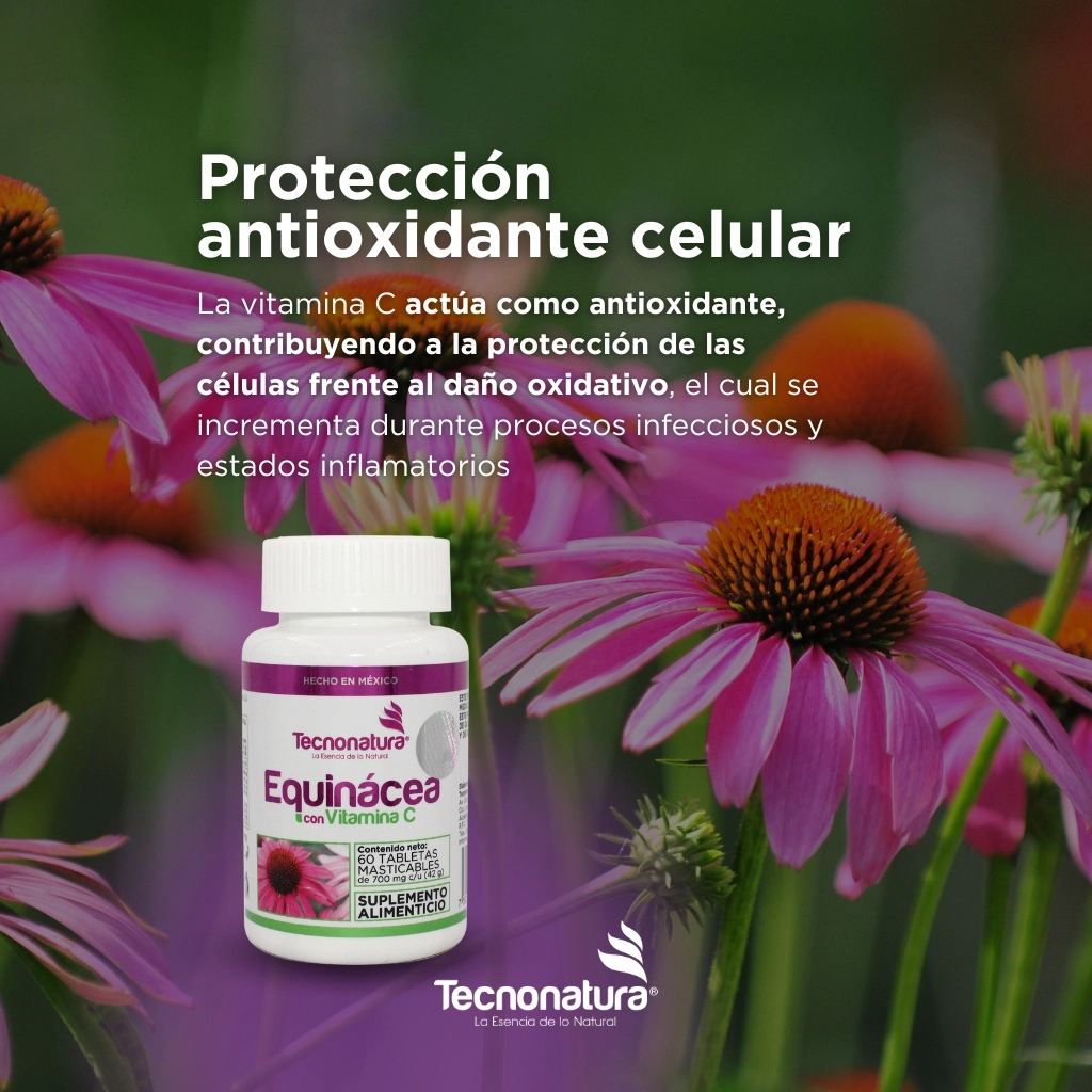 EQUINACEA CON VITAMINA
