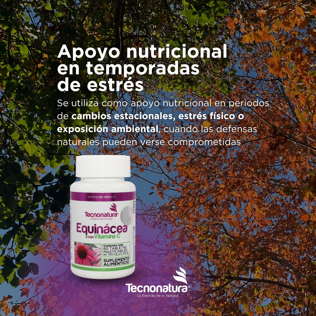 EQUINACEA CON VITAMINA