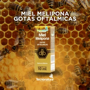 GOT MIEL MELIPONA