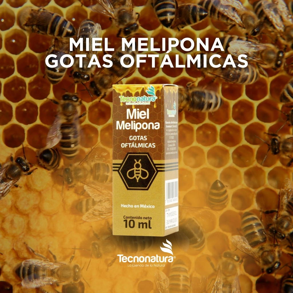 GOT MIEL MELIPONA