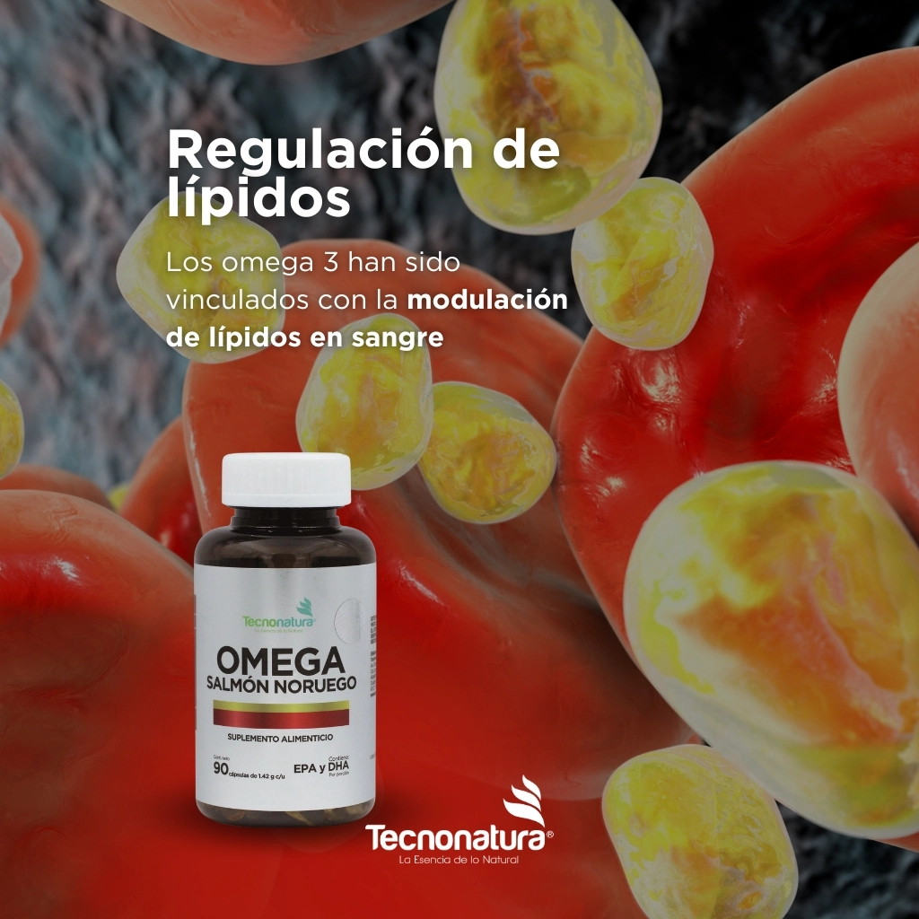 OMEGA SALMON NORUEGO IMG