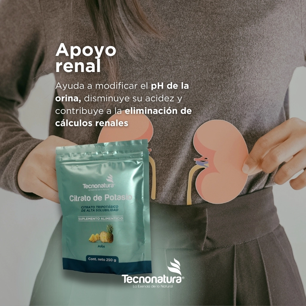 POLVO CITRATO DE POTASIO SABOR PIÑA IMG