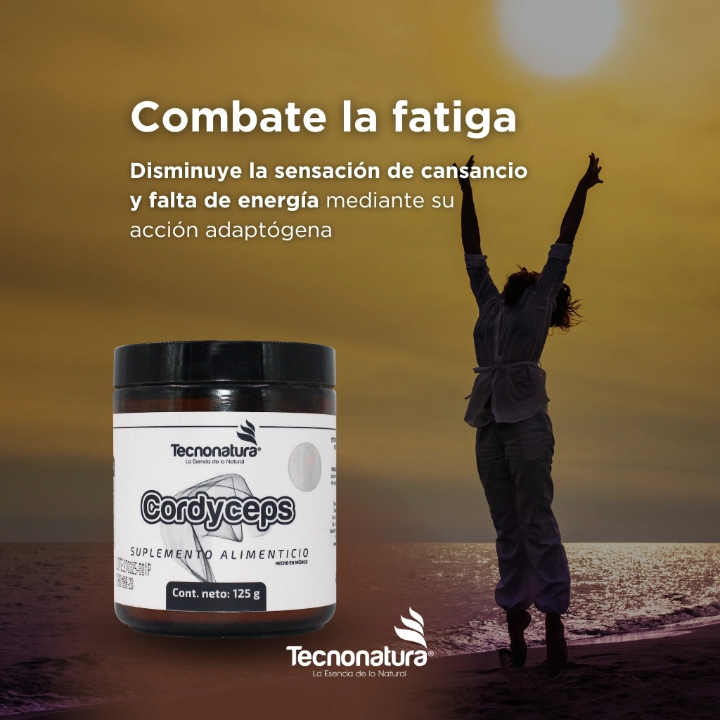 POLVO CORDYCEPS