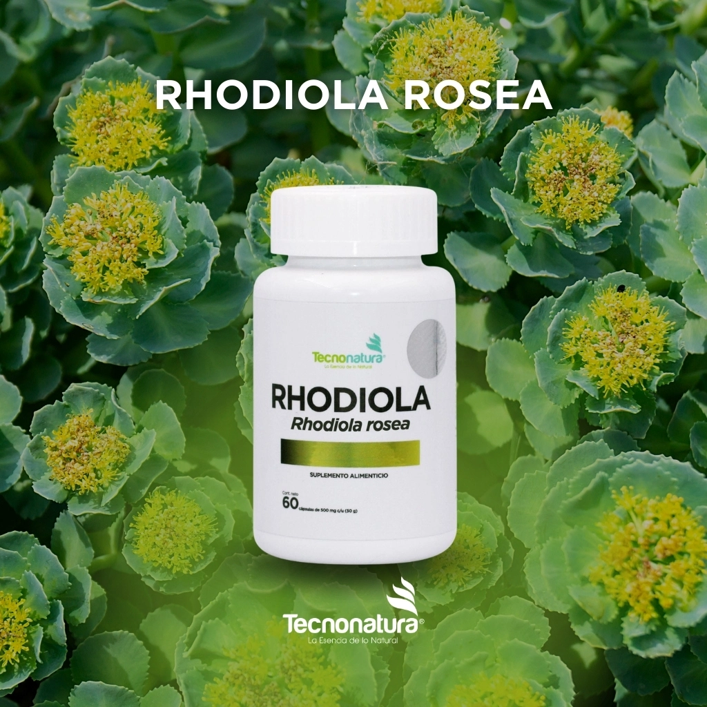 RHODIOLA
