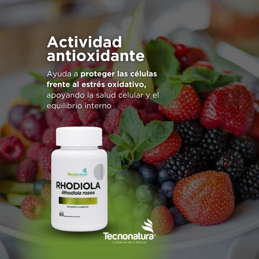 RHODIOLA