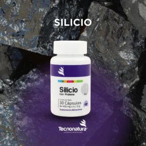 SILICIO