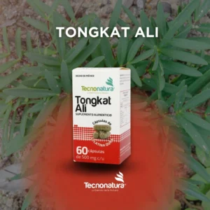 TONGKAT ALI IMG