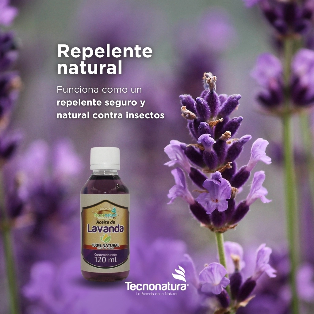aceite de lavanda