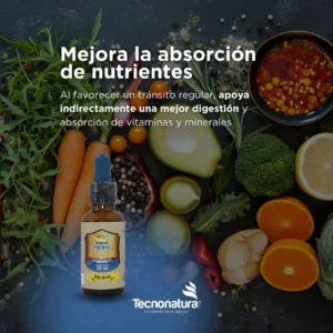 aceite ricino oral